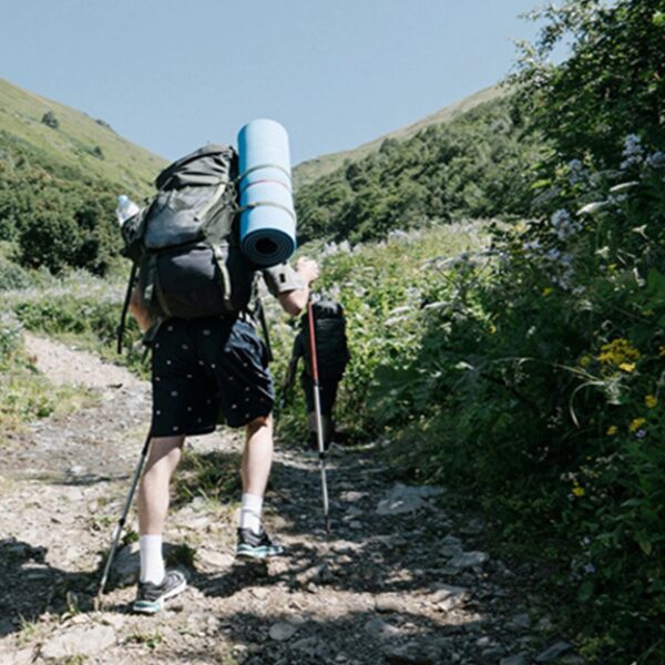 Retractable Walking Stick - Telescopic Ultralight Trekking Pole for Outdoors, Elderly, Hiking, Camping, Mountaineering - Image 6