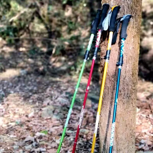 Portable Telescopic Trekking Pole: A Convenient 5-Section Outdoor Foldable Walking and Hiking Stick for Nordic Elderly