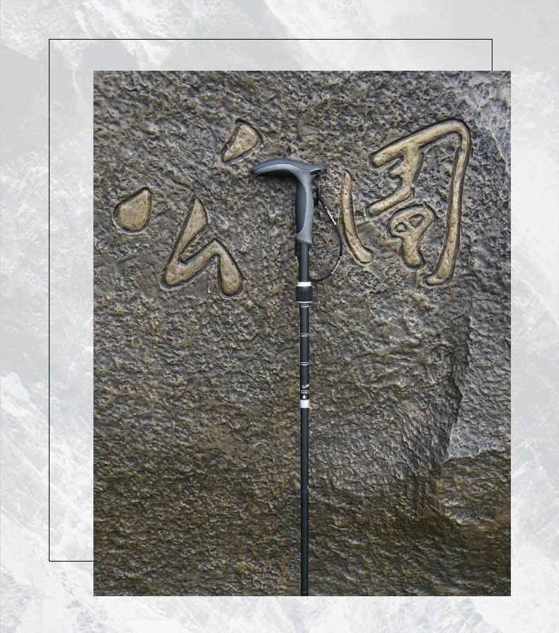 Carbon Fiber T-Handle Walking Stick: Durable, Matte Finish, 5 Sections, Ultralight Design – Ideal Trekking Pole for Outdoor Adventures and Camping
